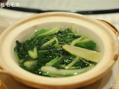 上汤浸时蔬&nbsp;-阿一鲍鱼·20年匠心传承(天河北旗舰店)