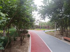 -绿堤公园