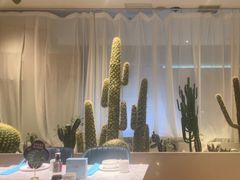 -悦海·家宴·冰花皮皮虾大锅贴(宝龙店)