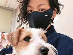 -申普宠物医院·心脏介入·心血管微创(总院)