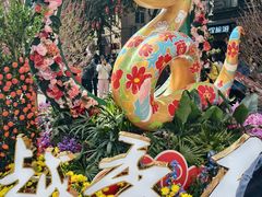 -越秀西湖花市(广州城市广场花卉店)