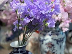 -双季花艺园艺市场(浦东店)