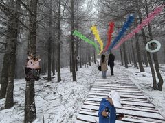 -苏木山森林公园
