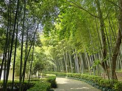 -兰亭风景区