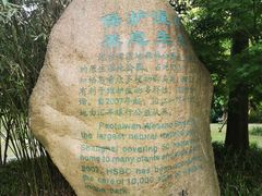 -吴淞炮台湾湿地森林公园烧烤区