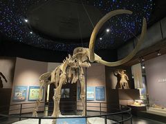 -呼伦贝尔民族博物馆