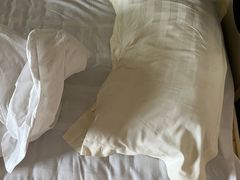 -御林汤泉