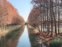 -虎丘湿地公园