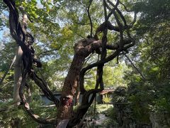 -绮园景区