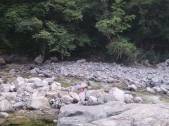 -秦岭风景区