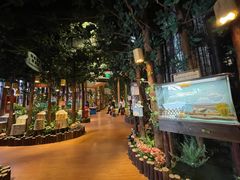 -黄海国家森林公园