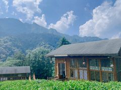 -姑婆山旅游区
