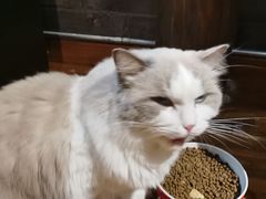 -拉芳舍(印象南塘店)