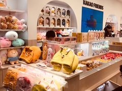 -KAKAO FRIENDS(弘大店)