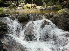 -牛背梁国家森林公园