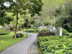 -火炉山森林公园