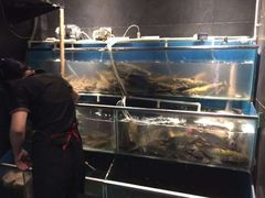 -老板恋上鱼(恒隆广场店)