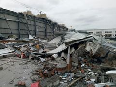 -龙大花卉苗木市场