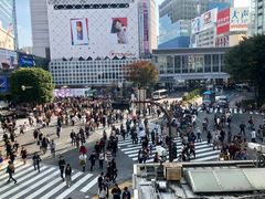 -涩谷全向十字路口
