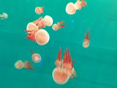 -多彩贵州城极地海洋世界