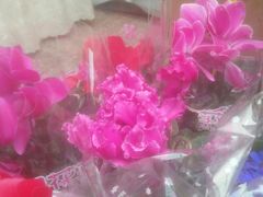 -重庆市江北嘴中央商务区中央公园