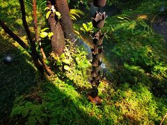 -Chom Cafe and Restaurant