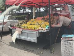 -团泊镇示范集贸市场