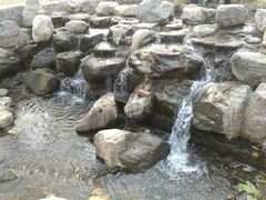 -白水寺森林公园