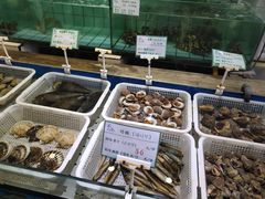 水产区-海岛渔村大酒店(云霄路店)
