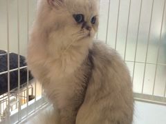 -Oh My Dog宠物沙龙(伊珊娜皮毛护理店)