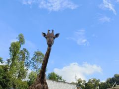 -泉州海丝野生动物世界