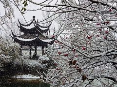 -杭州半山国家森林公园