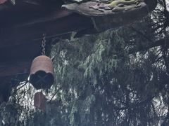 -报恩寺(平武县)