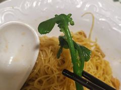 -翠华餐厅(旺角文华商场店)