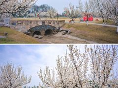 -国际非物质文化遗产博览园