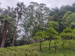 -白云山风景名胜区