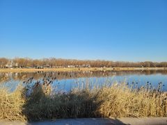 -素心小筑(后沙裕镇店)