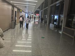 -青岛胶东国际机场