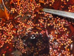 -羊门客在·烤盐池滩羊·川菜