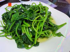 红薯叶-王庄阿咪海鲜大排档(象园店)