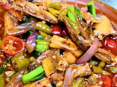-陈有良尖椒鸡(渝中示范店)