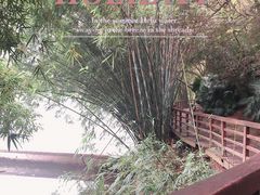 -两江幸福广场