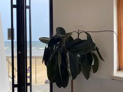 -ChanDu躔度咖啡(灯塔店)