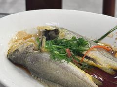 -长平肥姐白粥·海鲜打冷