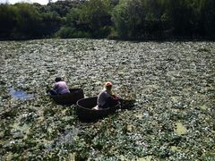 溱湖国家湿地公园-溱湖国家湿地公园