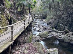 -东天目山风景区