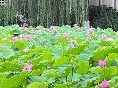 -西南交通大学(九里校区)