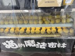 -猫的魔法密林(衣裳街店)