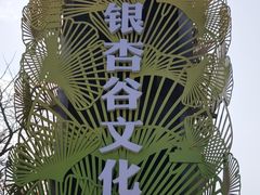 -千年银杏谷文化旅游区