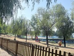 -青龙湖公园